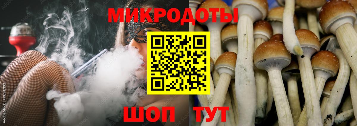 Галлюциногенные грибы MAGIC MUSHROOMS  Псилоцибиновые грибы Cubensis  Лангепас  Вход с VPN 
